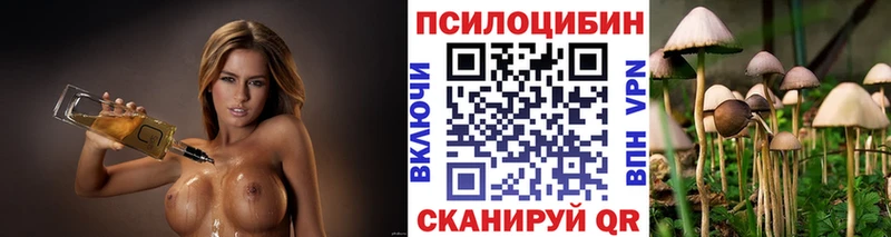 Галлюциногенные грибы Psilocybine cubensis наркотики Реутов